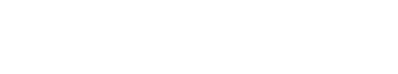 Steinbeis ITPM GmbH Logo ws transparent